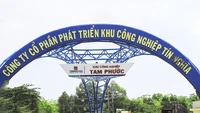 Doanh thu bất động sản sụt gần 82%, KCN Tín Nghĩa vẫn báo lãi quý 2 đi lên