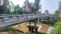 Trúng 8 gói thầu liên tiếp, Ngọc Vịnh có năng lực ra sao?