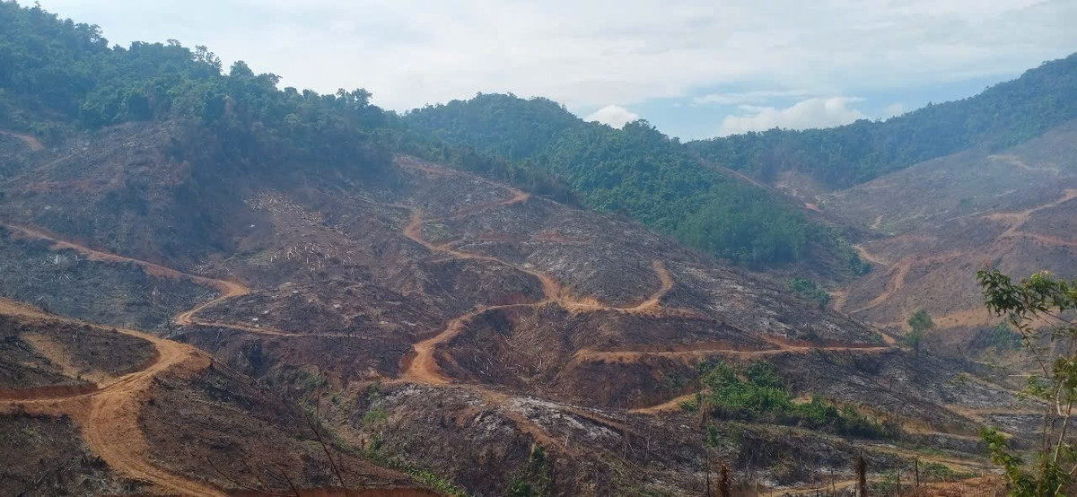 Các đối tượng mở nhiều con đường mòn được mở để khai thác, vận chuyển gỗ trái phép.