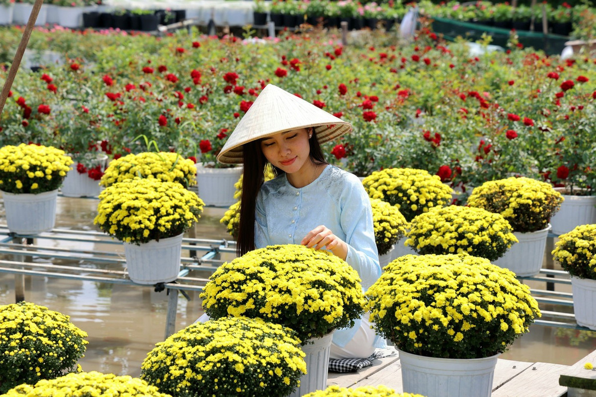 Người trẻ tìm tới làng hoa Sa Đéc những ngày cuối năm để lưu lại những khoảnh khắc rực rỡ