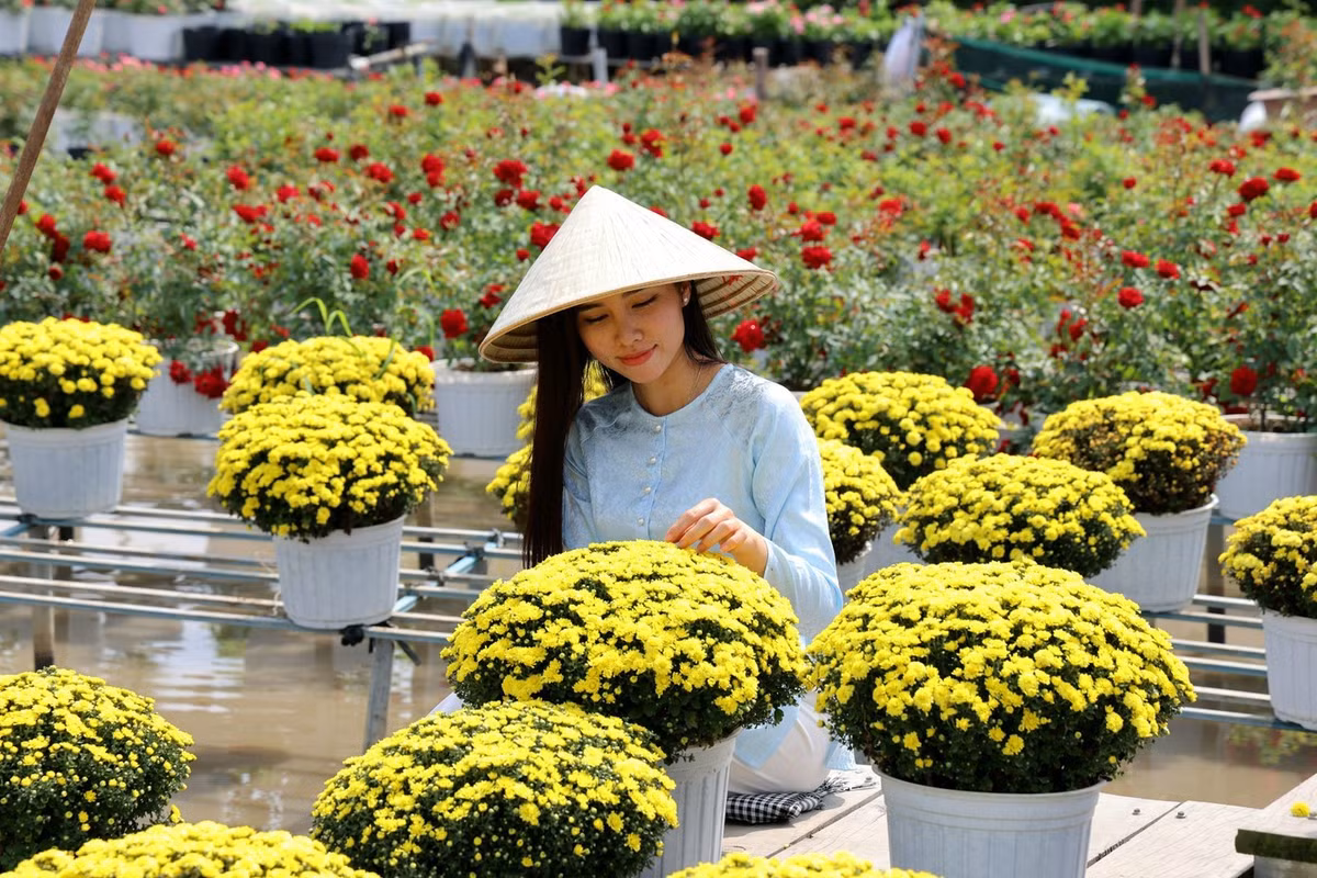 Người trẻ tìm tới làng hoa Sa Đéc những ngày cuối năm để lưu lại những khoảnh khắc rực rỡ