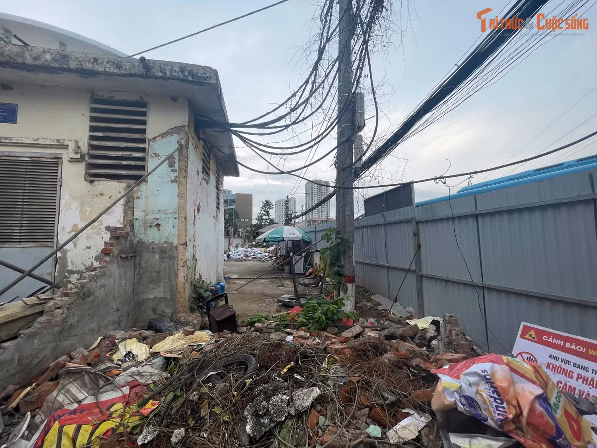 Đường Tam Trinh có chiều dài khoảng 3,5km, tổng vốn đầu tư hơn 3.300 tỷ đồng, đóng vai trò quan trọng trong việc kết nối khu vực Hoàng Mai với trung tâm thành phố, giảm tải áp lực giao thông.