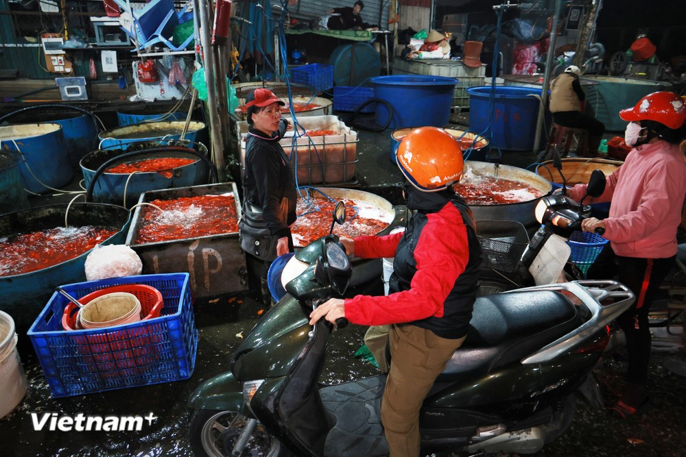 Theo ghi nhận của phóng viên Báo Điện tử VietnamPlus, từ đầu giờ sáng hàng trăm tiểu thương tại chợ cùng nhiều mối buôn đổ về chợ Yên Sở để buôn bán cá chép, phục vụ cho ngày Tết ông Công ông Táo. (Ảnh: Minh Hiếu/Vietnam+)