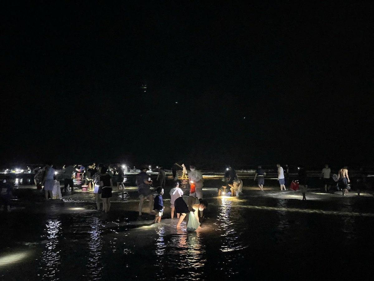 Càng về khuya, rất đông người dân đổ ra biển để vớt ngao, sò.