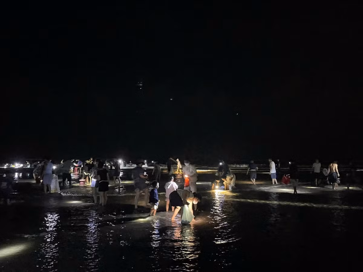 Càng về khuya, rất đông người dân đổ ra biển để vớt ngao, sò.