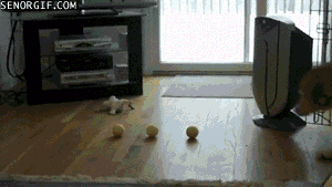 Nụ cười tỏa nắng nè!