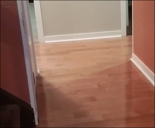 Lên cầu thang cũng là cả một nghệ thuật.