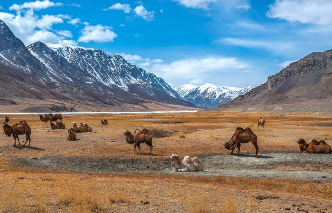 Những bức ảnh ngoạn mục trên thảo nguyên nước Nga