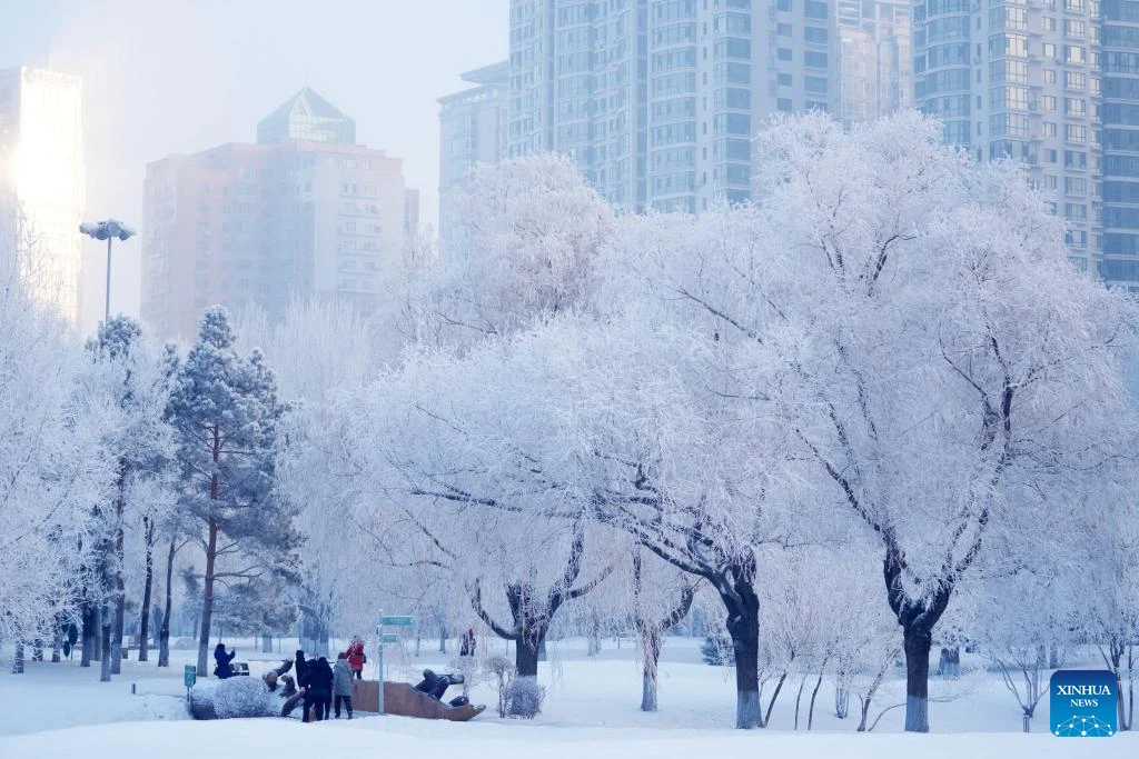 Choáng ngợp cảnh sương muối phủ trắng Cáp Nhĩ Tân mùa đông