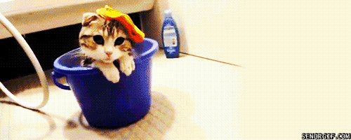 Tôi muốn tắm nữa.