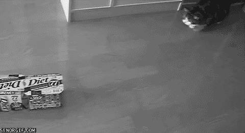 Để tôi cất gọn đồ cho.