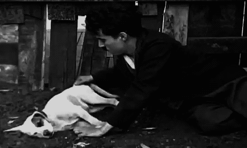 Chiếc gối êm ái.