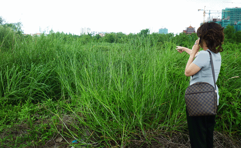 Biết dự án không được cấp phép, nhưng bà Nga vẫn mang bản thiết kế dự án này đi chào bán, ký hợp đồng chuyển nhượng dự án “ma” cho người khác, là bà D.M.L để nhận khoản tiền đặt cọc 3,1 triệu USD. Nhưng chỉ sau một ngày bán khu đất dự án “ma” cho bà L lấy số tiền cọc 3,1 triệu USD, thì bà Nga lại ký hợp đồng bán một phần lô đất cho ông T.V.M lấy số tiền 1,5 tỉ đồng.