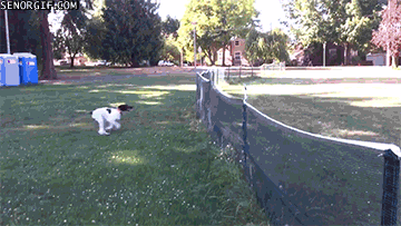 Lộn "cầu vồng".