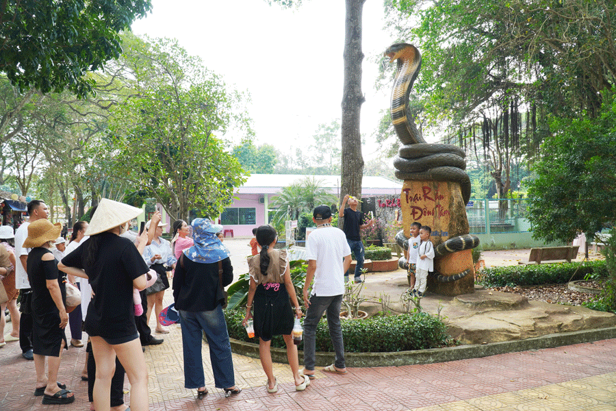 Gần 200 nghìn lượt khách đến ngắm rắn tại Trại rắn Đồng Tâm Gan 200 nghin luot khach den ngam ran tai Trai ran Dong Tam