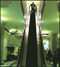 "Thánh" đi thang máy.