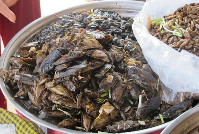 Món ăn từ cà niễng - đặc sản côn trùng tưởng sợ mà ngon