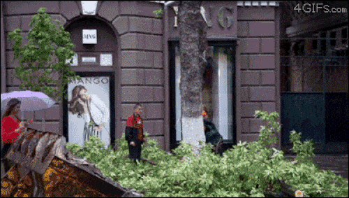 Cô gái vẫn chưa hiểu chuyện gì vừa xảy ra.