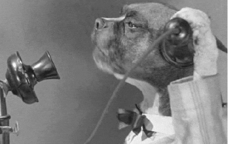 - Em có khỏe không? - Ứ!Ứ!