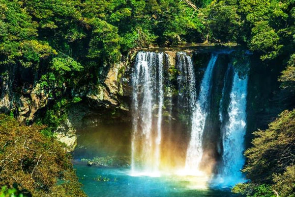 Điều bạn chưa biết về thác nước tuyệt đẹp trên đảo Jeju Hàn Quốc