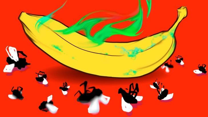 9 loại thực phẩm giúp giữ cho nhà cửa luôn sạch sẽ