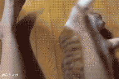 Mùi không thể chịu nổi.