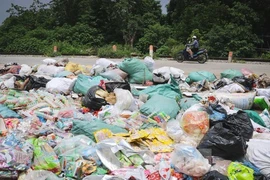 Hà Nội tiêu huỷ "núi" bánh kẹo bỏ đi tại La Phù