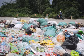 Hà Nội tiêu huỷ "núi" bánh kẹo bỏ đi tại La Phù