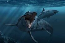 Cực độc cuộc sống ở Quy Nhơn 1965 - 1966 qua ảnh lính Mỹ