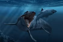 Cực độc cuộc sống ở Quy Nhơn 1965 - 1966 qua ảnh lính Mỹ