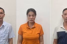 Xem xét thi hành kỷ luật cựu Giám đốc Công ty TNHH MTV Lâm nghiệp Hoành Bồ