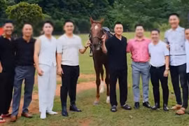 Vi "ngộ" - giang hồ xứ Thanh từng lấy bệnh án làm mạng sống