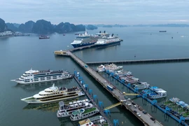 Quảng Ninh cấm tàu từ chiều nay do ảnh hưởng áp thấp nhiệt đới