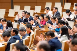 Tiền tạm ứng chi phí phá sản sẽ do ngân sách nhà nước bảo đảm