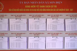 Một nông dân trúng cử đại biểu HĐND tỉnh Thanh Hóa nhiệm kỳ 2026 - 2031