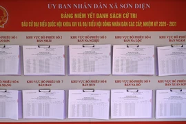 Một nông dân trúng cử đại biểu HĐND tỉnh Thanh Hóa nhiệm kỳ 2026 - 2031