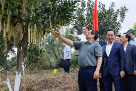 Thủ tướng Phạm Minh Chính: Biến núi rừng Tây Bắc trùng điệp thành của cải vật chất