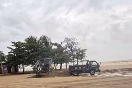 Lợi dụng bão số 10, xúc trộm cát biển ở Sầm Sơn