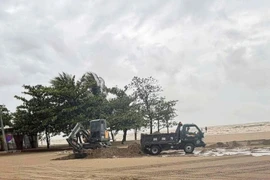 Lợi dụng bão số 10, xúc trộm cát biển ở Sầm Sơn