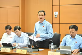 Hệ thống đào tạo y khoa đang bị phân mảnh