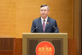 Còn tình trạng nhà, đất bị bỏ hoang, dùng không đúng mục đích