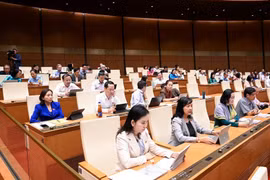 Nghiên cứu, bổ sung đối tượng chịu thuế đối với một số chất thải