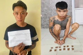 Quảng Ninh liên tiếp bắt các vụ ma tuý thế hệ mới ngụy trang tinh vi