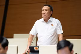 Cần xem xét lại việc chính quyền yêu cầu nộp sổ đỏ photo