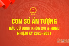 Con số ấn tượng bầu cử Quốc hội khoá XVI và HĐND các cấp nhiệm kỳ 2026 - 2031