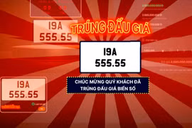 Năm 2025, đấu giá thành công hơn 140 nghìn biển số xe, thu 5.155 tỷ đồng