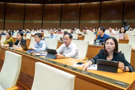 Ngày 15/3/2026, bầu cử đại biểu HĐND các cấp 2026-2031 