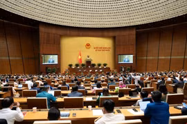 Đại biểu lo lắng về “cú sốc” thuế xe điện sau khi hết ưu đãi