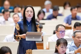 ĐBQH Trần Khánh Thu.