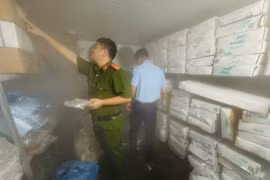 "Đột kích" lô hàng mực ống trôi nổi ở Quảng Ninh